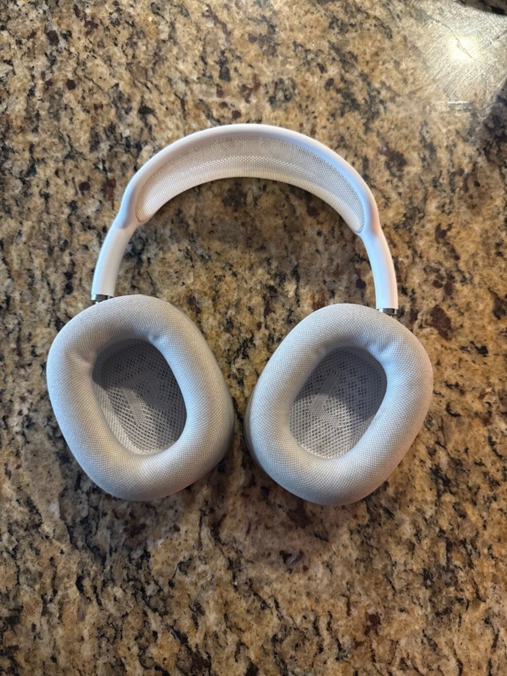Apple AirPods Max in Silver